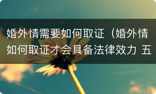 婚外情需要如何取证（婚外情如何取证才会具备法律效力 五星文库）