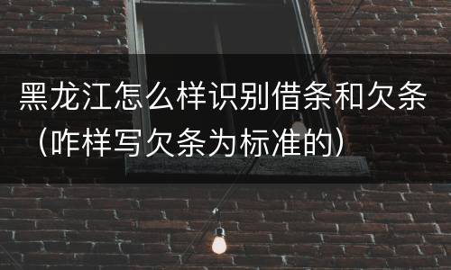 黑龙江怎么样识别借条和欠条（咋样写欠条为标准的）