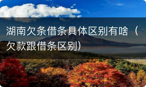 湖南欠条借条具体区别有啥（欠款跟借条区别）