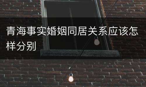 青海事实婚姻同居关系应该怎样分别
