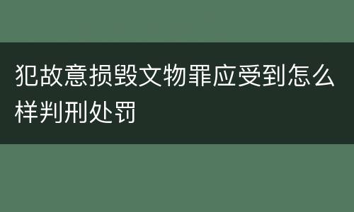 犯故意损毁文物罪应受到怎么样判刑处罚
