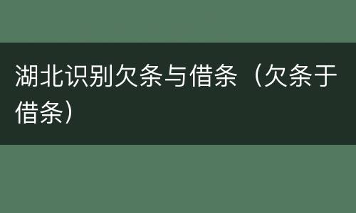 湖北识别欠条与借条（欠条于借条）