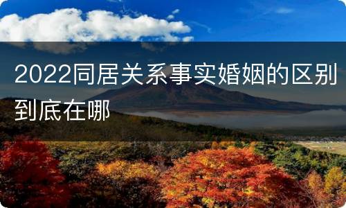 2022同居关系事实婚姻的区别到底在哪