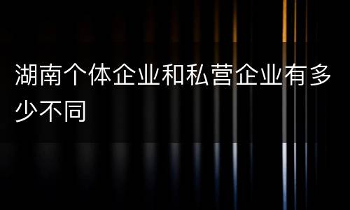 湖南个体企业和私营企业有多少不同