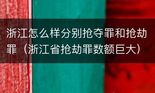 浙江怎么样分别抢夺罪和抢劫罪（浙江省抢劫罪数额巨大）