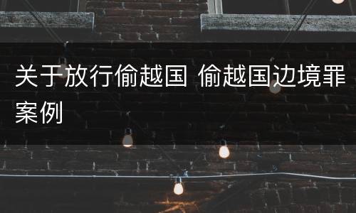 关于放行偷越国 偷越国边境罪案例