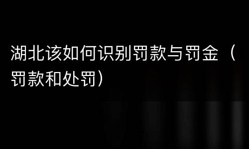 湖北该如何识别罚款与罚金（罚款和处罚）