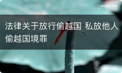 法律关于放行偷越国 私放他人偷越国境罪
