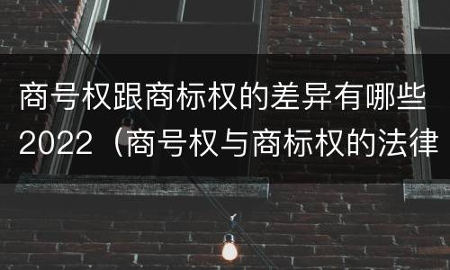 商号权跟商标权的差异有哪些2022（商号权与商标权的法律冲突与解决）