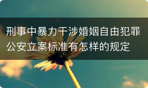 刑事中暴力干涉婚姻自由犯罪公安立案标准有怎样的规定