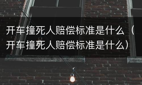 开车撞死人赔偿标准是什么（开车撞死人赔偿标准是什么）