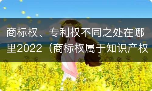 商标权、专利权不同之处在哪里2022（商标权属于知识产权么）