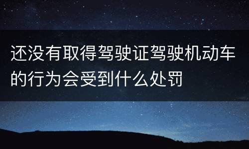 还没有取得驾驶证驾驶机动车的行为会受到什么处罚