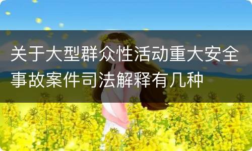 关于大型群众性活动重大安全事故案件司法解释有几种