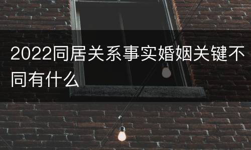 2022同居关系事实婚姻关键不同有什么