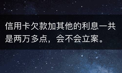 信用卡欠款加其他的利息一共是两万多点，会不会立案。