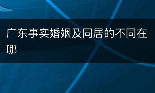 广东事实婚姻及同居的不同在哪