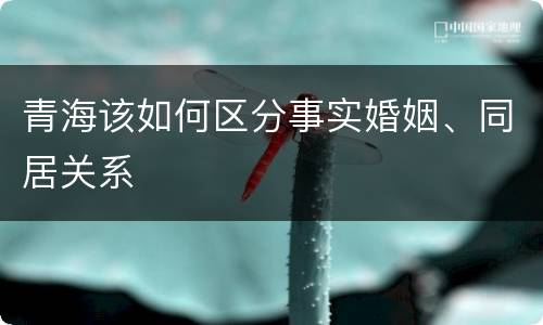 青海该如何区分事实婚姻、同居关系