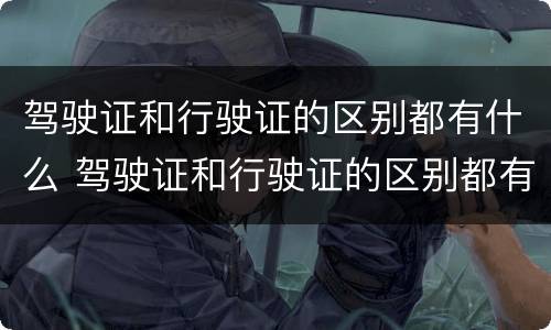 驾驶证和行驶证的区别都有什么 驾驶证和行驶证的区别都有什么要求
