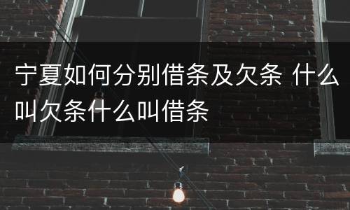 宁夏如何分别借条及欠条 什么叫欠条什么叫借条