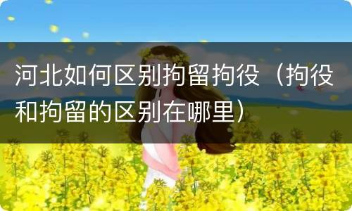 河北如何区别拘留拘役（拘役和拘留的区别在哪里）