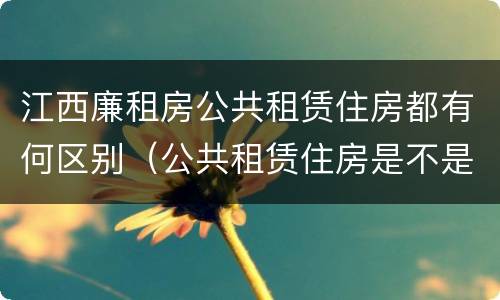 江西廉租房公共租赁住房都有何区别（公共租赁住房是不是廉租房）