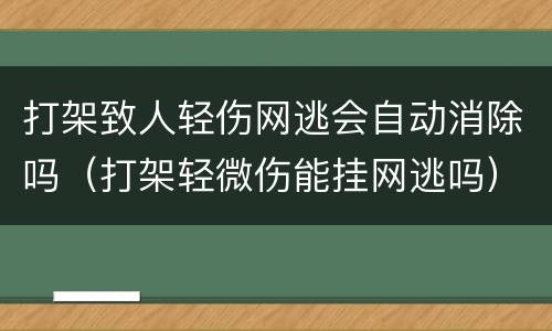 打架致人轻伤网逃会自动消除吗（打架轻微伤能挂网逃吗）