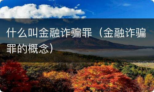 什么叫金融诈骗罪（金融诈骗罪的概念）