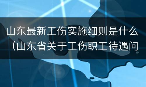 山东最新工伤实施细则是什么（山东省关于工伤职工待遇问题的规定）