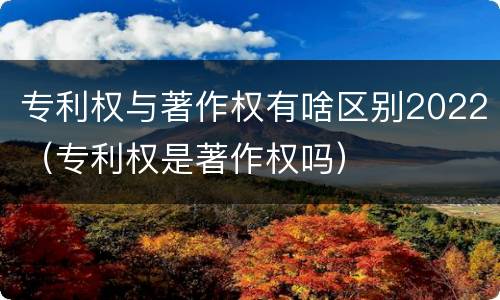 专利权与著作权有啥区别2022（专利权是著作权吗）
