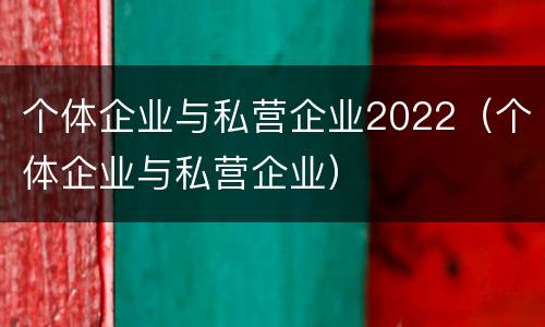 个体企业与私营企业2022（个体企业与私营企业）