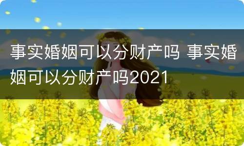 事实婚姻可以分财产吗 事实婚姻可以分财产吗2021