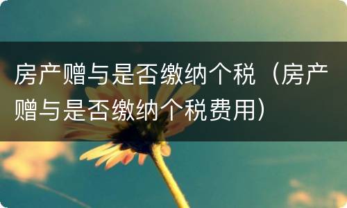 房产赠与是否缴纳个税（房产赠与是否缴纳个税费用）