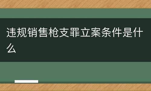 违规销售枪支罪立案条件是什么