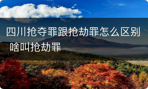 四川抢夺罪跟抢劫罪怎么区别 啥叫抢劫罪