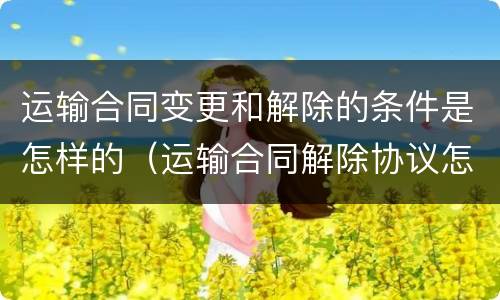 运输合同变更和解除的条件是怎样的（运输合同解除协议怎么写）