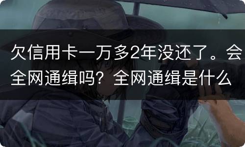 欠信用卡一万多2年没还了。会全网通缉吗？全网通缉是什么意思