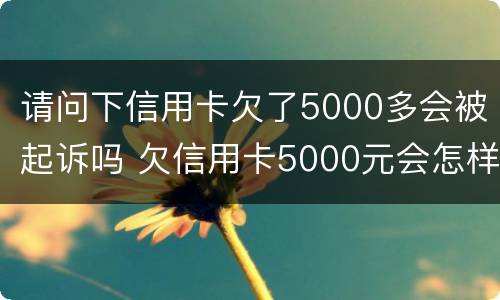 请问下信用卡欠了5000多会被起诉吗 欠信用卡5000元会怎样