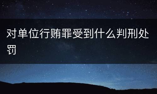 对单位行贿罪受到什么判刑处罚