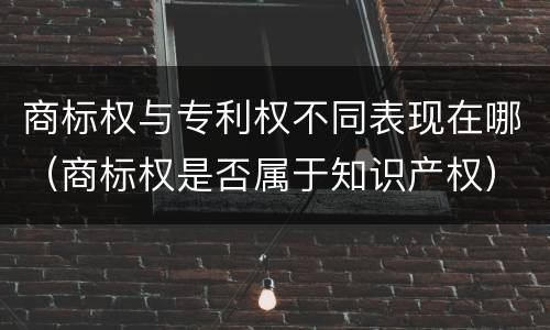 商标权与专利权不同表现在哪（商标权是否属于知识产权）