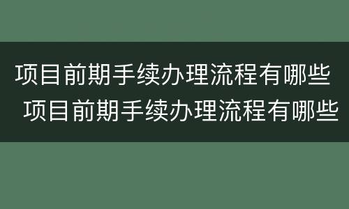 项目前期手续办理流程有哪些 项目前期手续办理流程有哪些要求