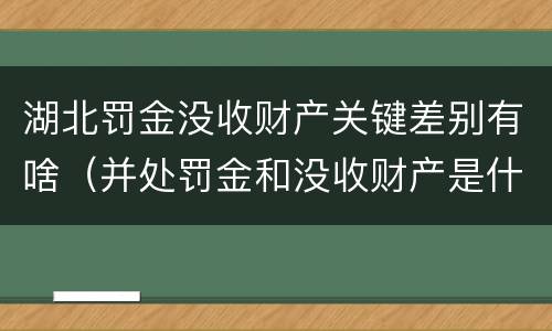 湖北罚金没收财产关键差别有啥（并处罚金和没收财产是什么意思）