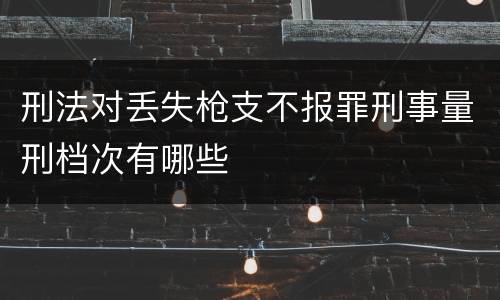 刑法对丢失枪支不报罪刑事量刑档次有哪些