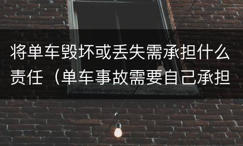 将单车毁坏或丢失需承担什么责任（单车事故需要自己承担损失吗）