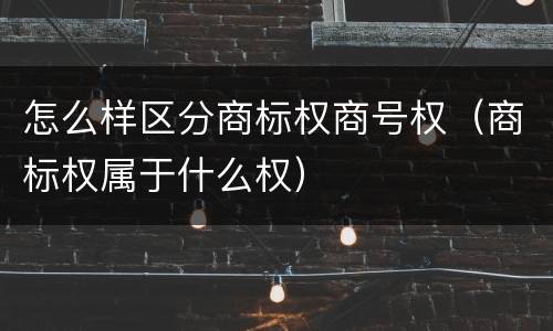 怎么样区分商标权商号权（商标权属于什么权）