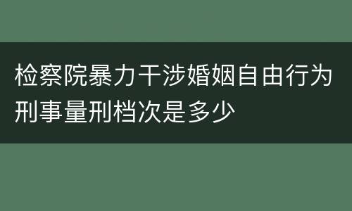 检察院暴力干涉婚姻自由行为刑事量刑档次是多少