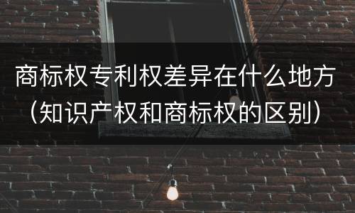 商标权专利权差异在什么地方（知识产权和商标权的区别）
