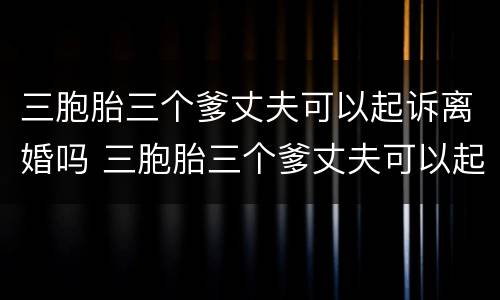 三胞胎三个爹丈夫可以起诉离婚吗 三胞胎三个爹丈夫可以起诉离婚吗小说