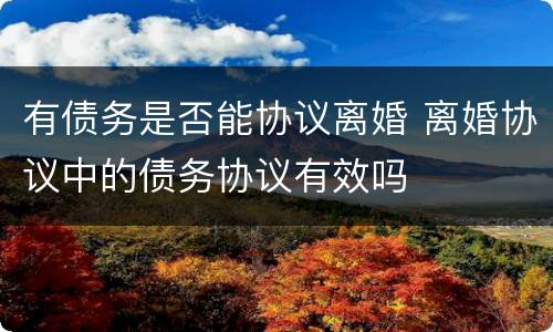 有债务是否能协议离婚 离婚协议中的债务协议有效吗