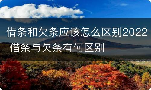 借条和欠条应该怎么区别2022 借条与欠条有何区别